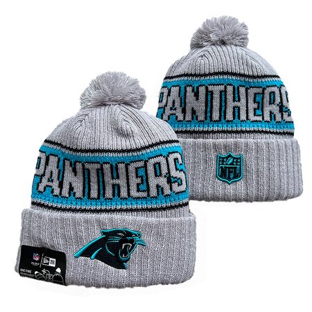 Carolina Panthers Knit Hat